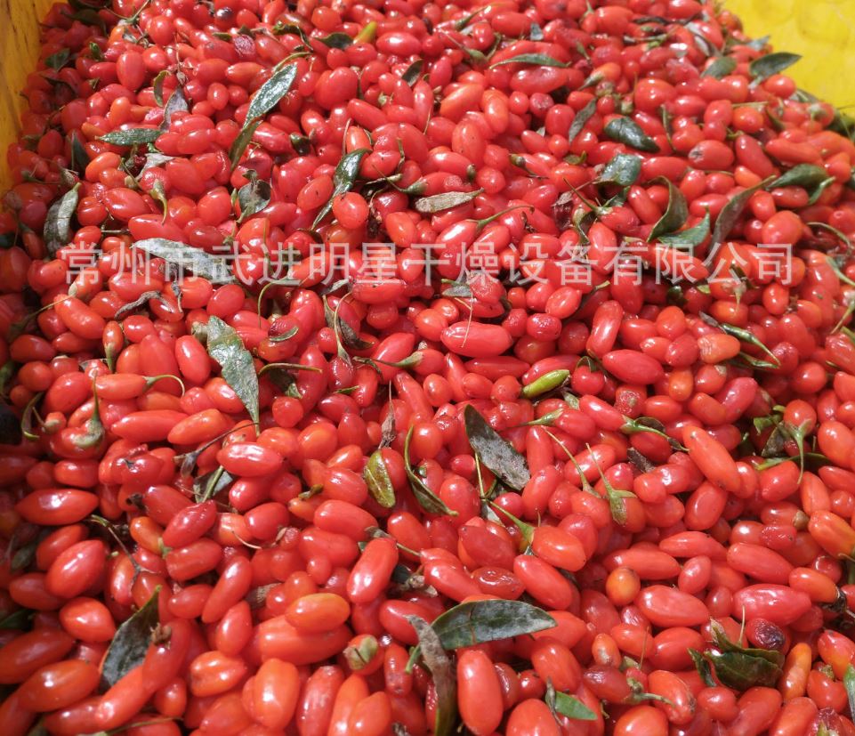 大型枸杞連續(xù)烘干設(shè)備